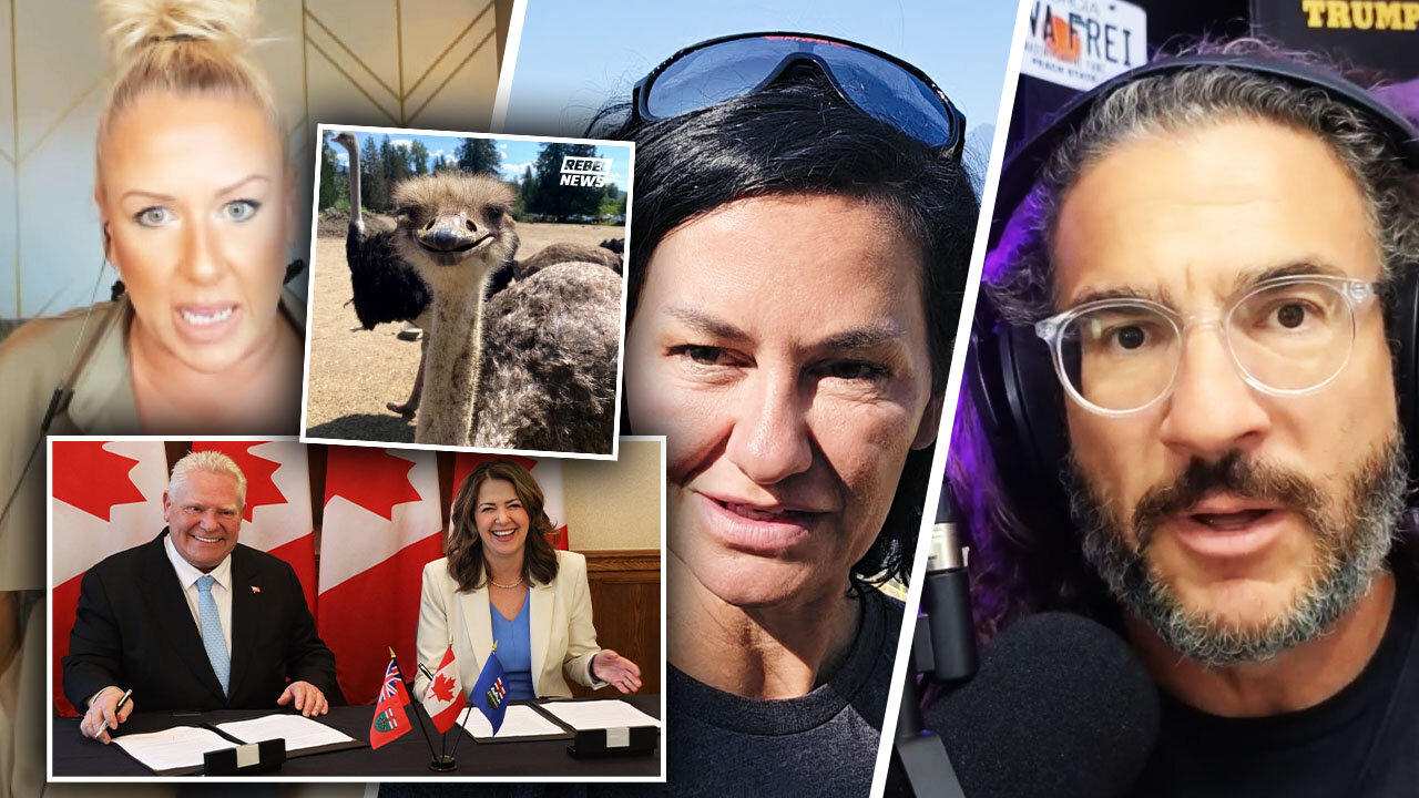 Ostrich cull is 'litmus test' for Conservative leaders