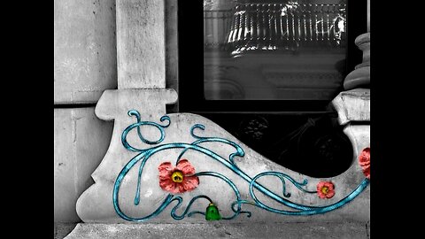 Floreciendo en el balcón