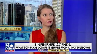 Kim Strassel on New Epstein Emails: Dems Are Attempting to Tie Things to Trump, the Problem Is ‘There’s No There, There’