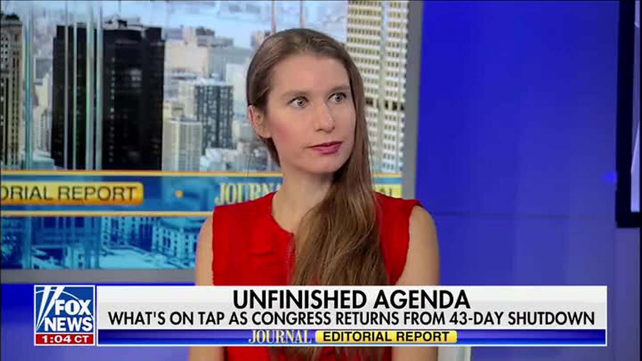 Kim Strassel on New Epstein Emails: Dems Are Attempting to Tie Things to Trump, the Problem Is ‘There’s No There, There’