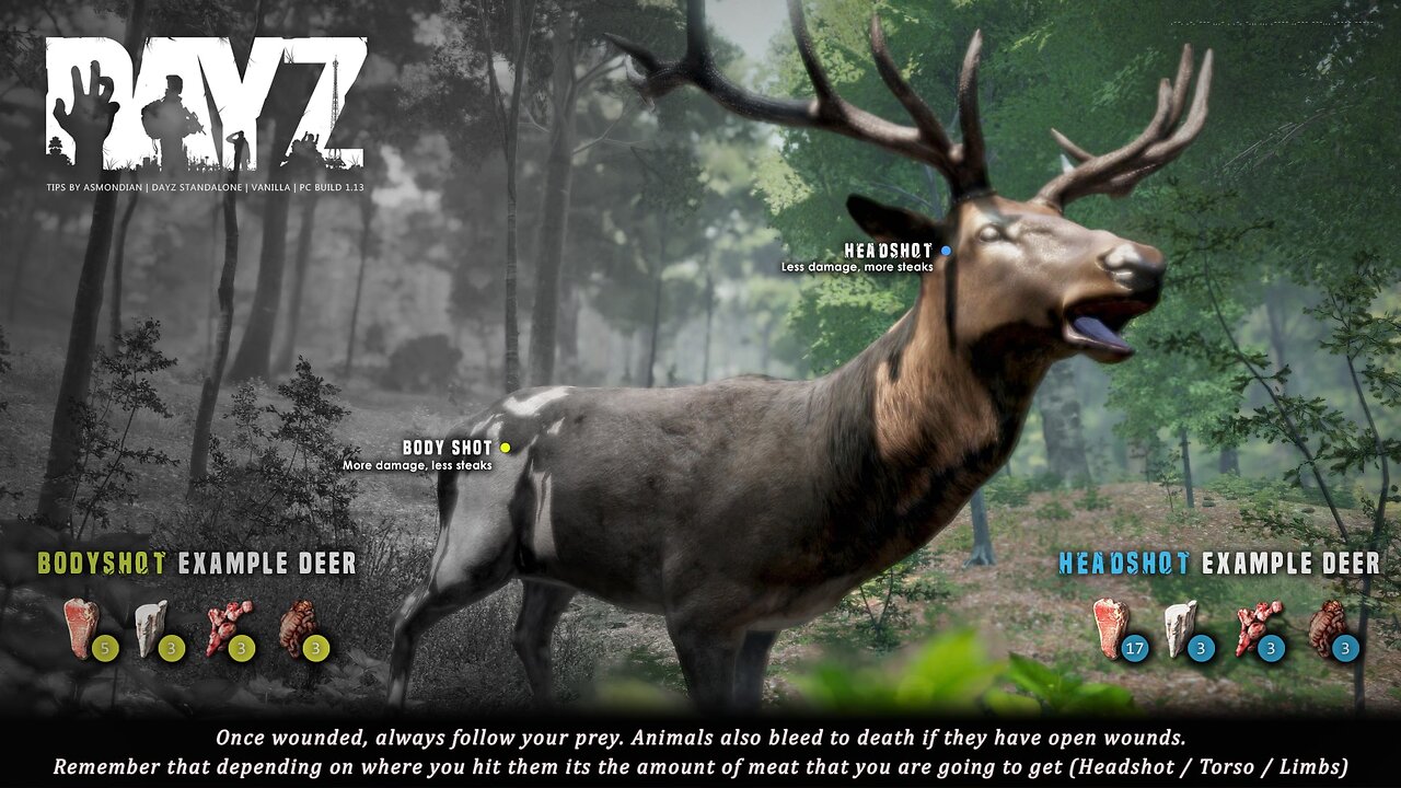 ADHD Dayz / Abracadabra Chillantropic Scandal