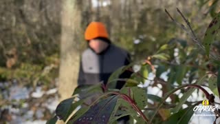 SUN ABOVE. CRUNCHY SNOW BELOW!