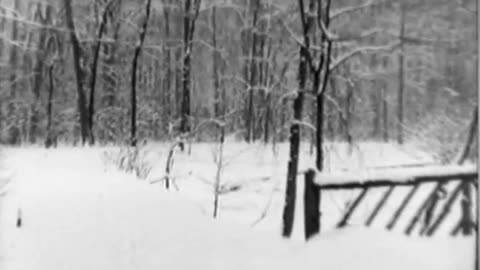 New York City Harbor an... - New York City Harbor and Bridges Buffalo Bill Cody and Ringl - fc-fc-50