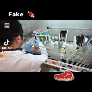Fake meat