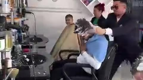 Never had your hair cut like this
