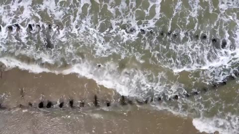 Centuries-old shipwreck exposed on Vietnam beach after typhoon