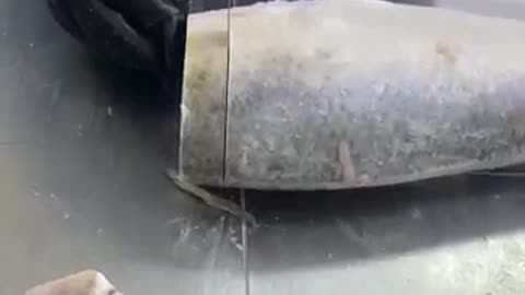 fish cutting amazing skill new fish cutting 2025