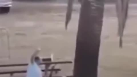 Sou Palestina🇵🇸🇮🇷🇪🇭 @soupalestina 🇦🇺🇮🇱🏴‍☠️ Em resposta às declarações