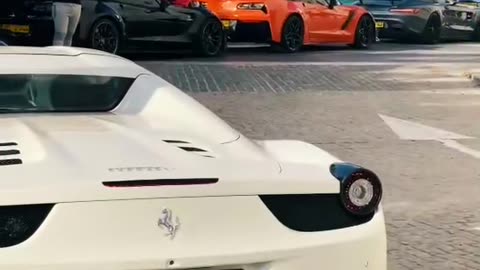 🤔💎 Rate This LUXURY Beauty! | LuxurySportsCars