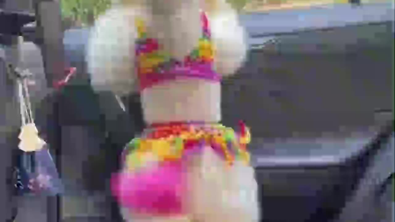 Tiny Poodle Twerk 🐾🤣 Funniest Puppy Dance