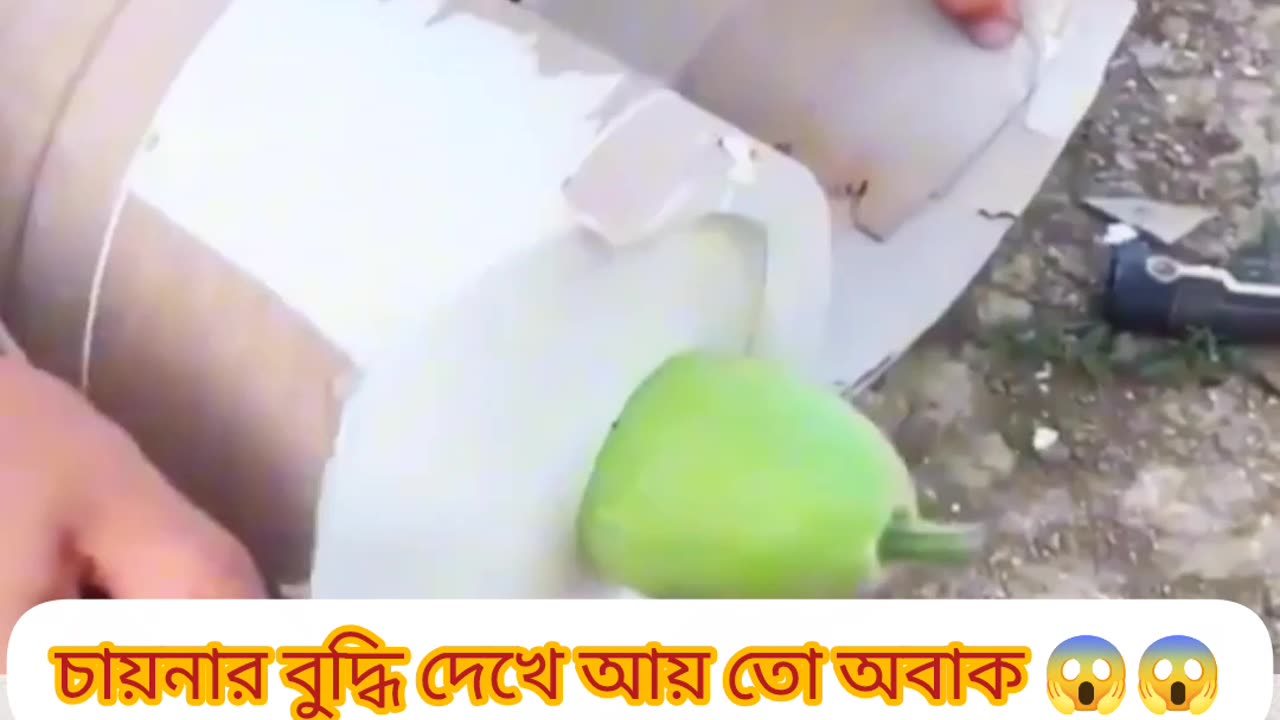 চায়নার অবিশ্বাস্য সৃষ্টি — লাউ থেকে মানুষের রূপ! 😳🇨🇳