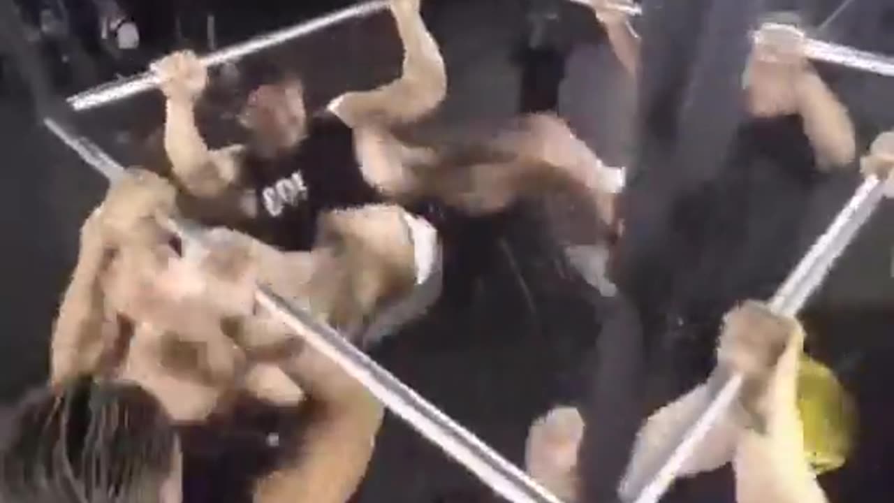 🤯👊 Watch People Kick Each Other Like Monkeys! | Monkey Kick Fight | FeedMyCuriosity