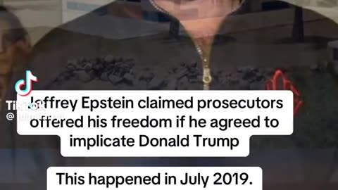 Jeffrey Epstein claimed prosecutors offered his freedom if he agreed to implicate Donald Trump