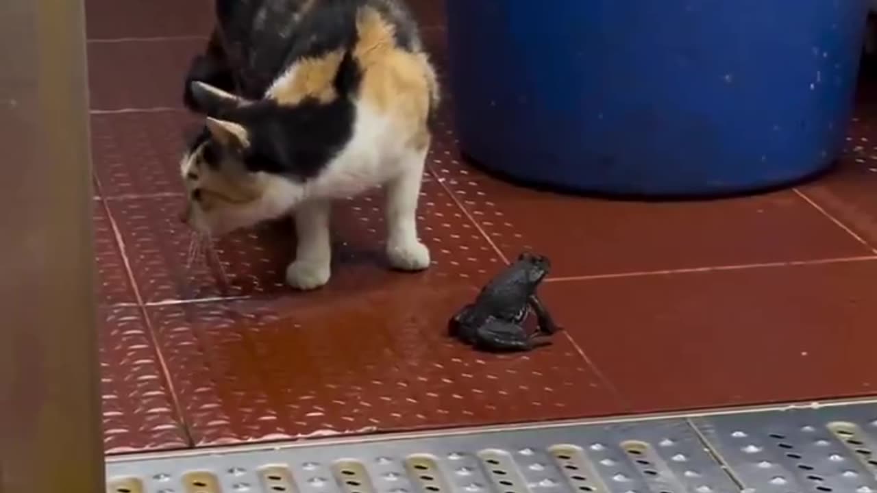 From where is coming that noise?