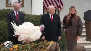 INFOWARS LIVE - 11/26/25: The American Journal with Breanna Morello / The Alex Jones Show / The War Room With Harrison Smith