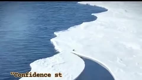 Trusting yourself