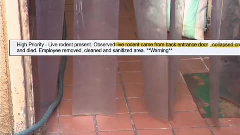 Rat Dies in Front of Food Inspector at Florida Restaurant