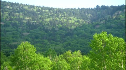 ニッポンの里山 ふるさとの絶景に出会う旅 「 馬がよみがえらせる花咲く草原 」岩手県 安比高原