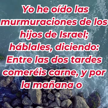 “Dios provee pan y carne para su pueblo” Éxodo 16:12.#shortvideo #reels #youtubeshorts #ytshorts #yt