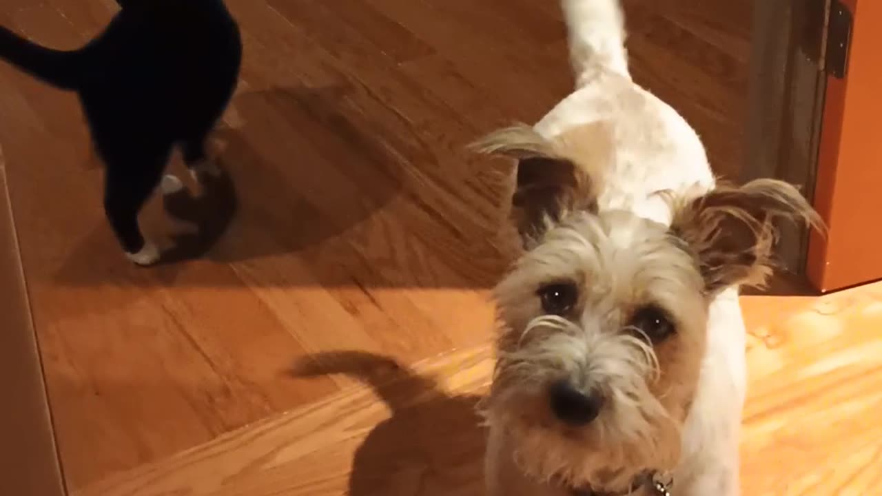 After the Livestream