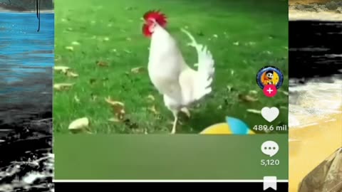 Just shorts videos - Follow 😜😋!!!!!!!