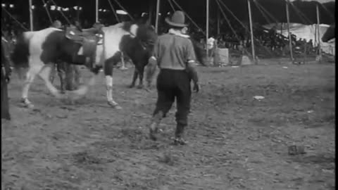 Ford Animated Weekly (B... - Ford Animated Weekly (Buffalo Bill Circus) Winter Sports For - fc-fc-40