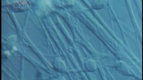 USA WORLDNET September 19, 2001 900am-930am EDT