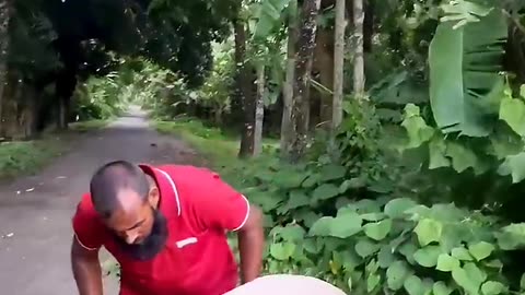 Funny (Follow My Channel)