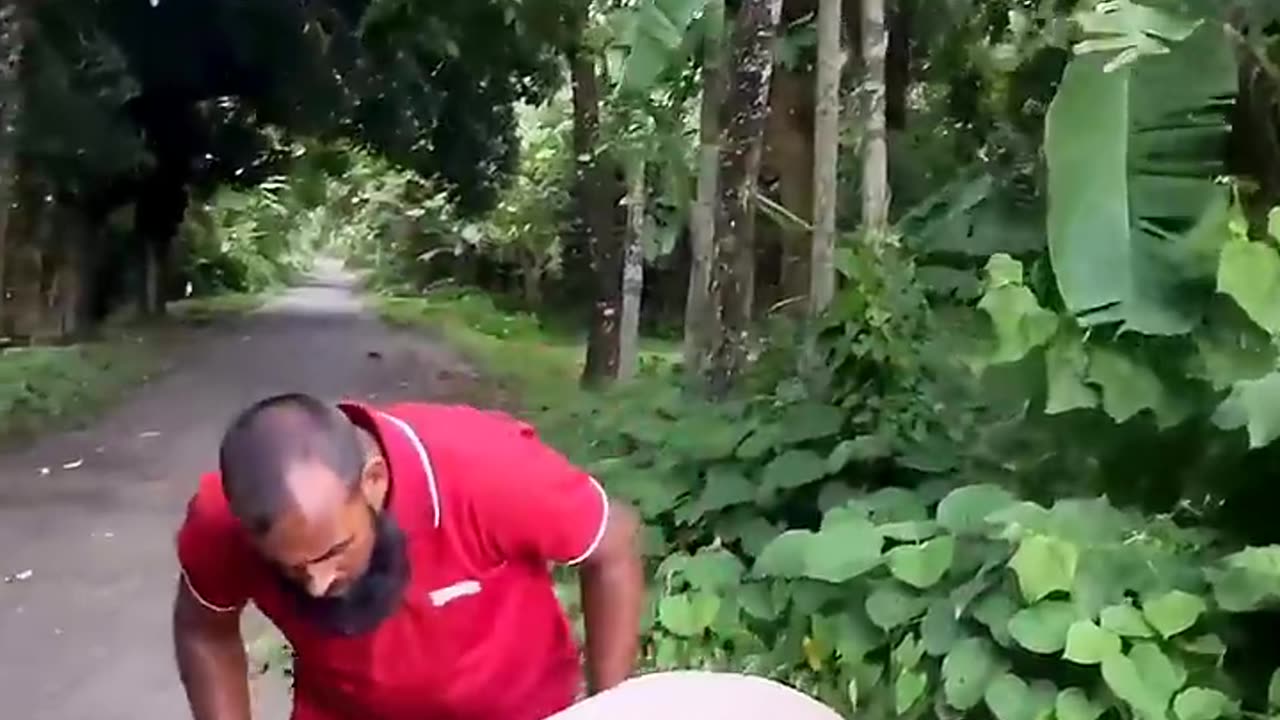 Funny (Follow My Channel)