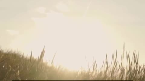 Daily Horoscope | Leo 🌟