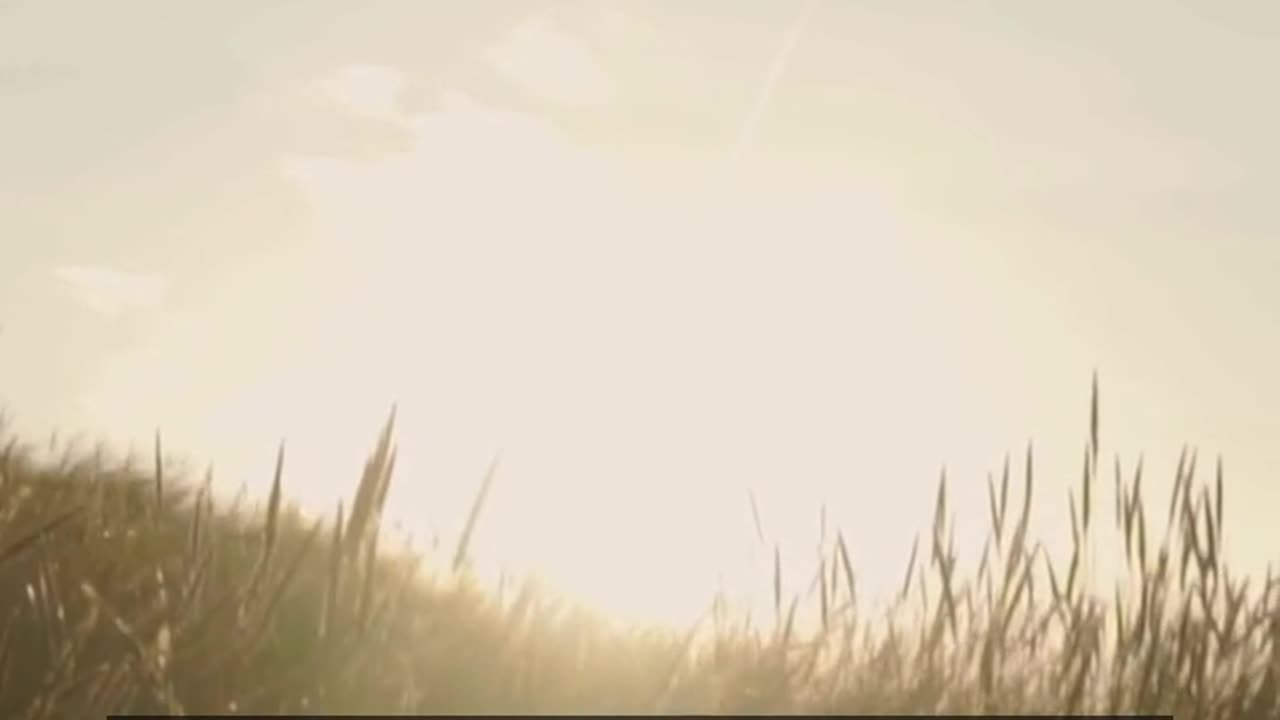 Daily Horoscope | Leo 🌟