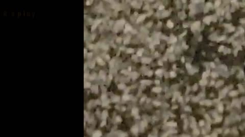 Un énorme OVNI a été aperçu dans les buissons sombres.