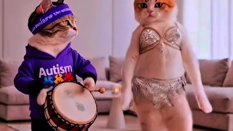 Adorable Cat Dancing to the Beat – Must-See Cuteness Overload!