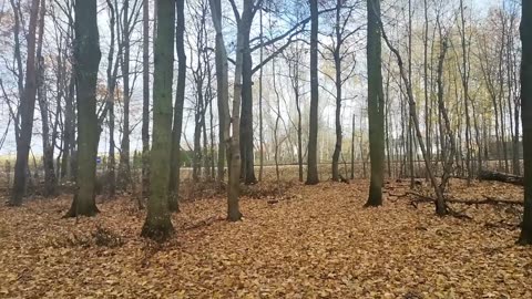 lubię swoje zmarszczki :):)