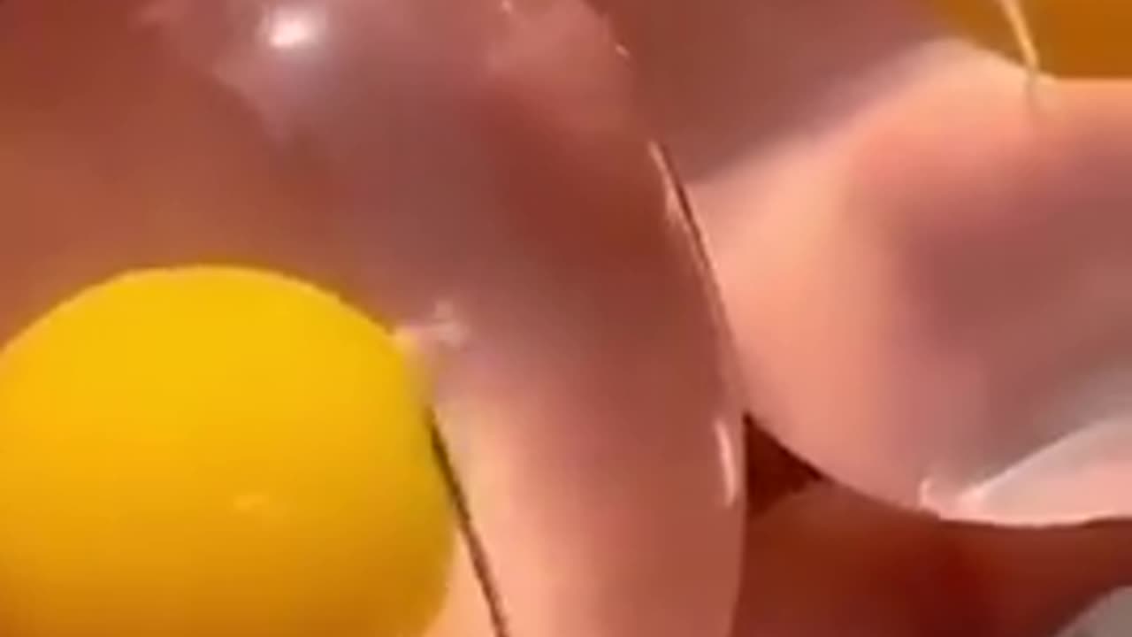 How ‘Artificial Eggs’ Are Made