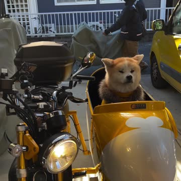 Let’s hit the road jack