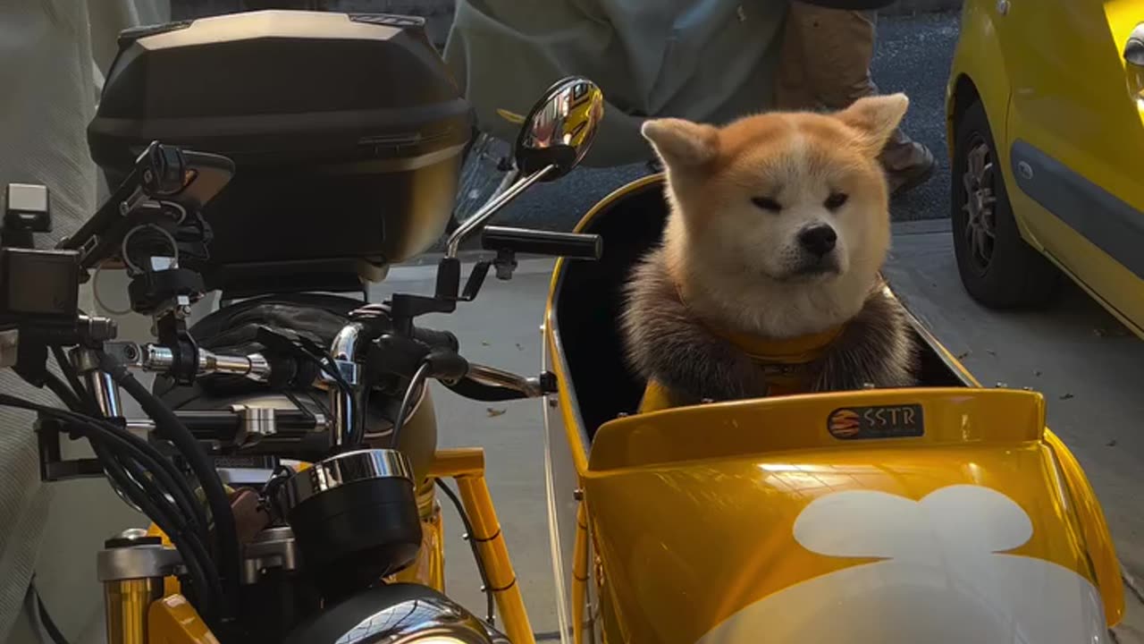 Let’s hit the road jack