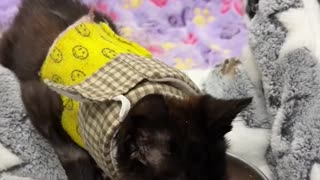 The way he looks at his dad says everything 🥹