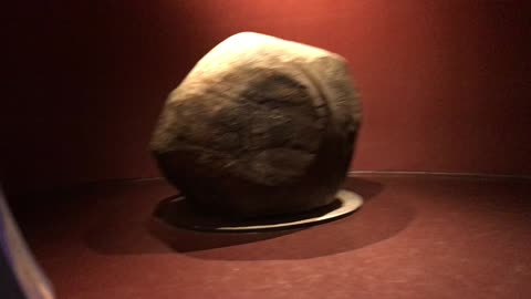 Chihuahuan Desert Museum 4 (Saltillo, Coahuila, Mexico)