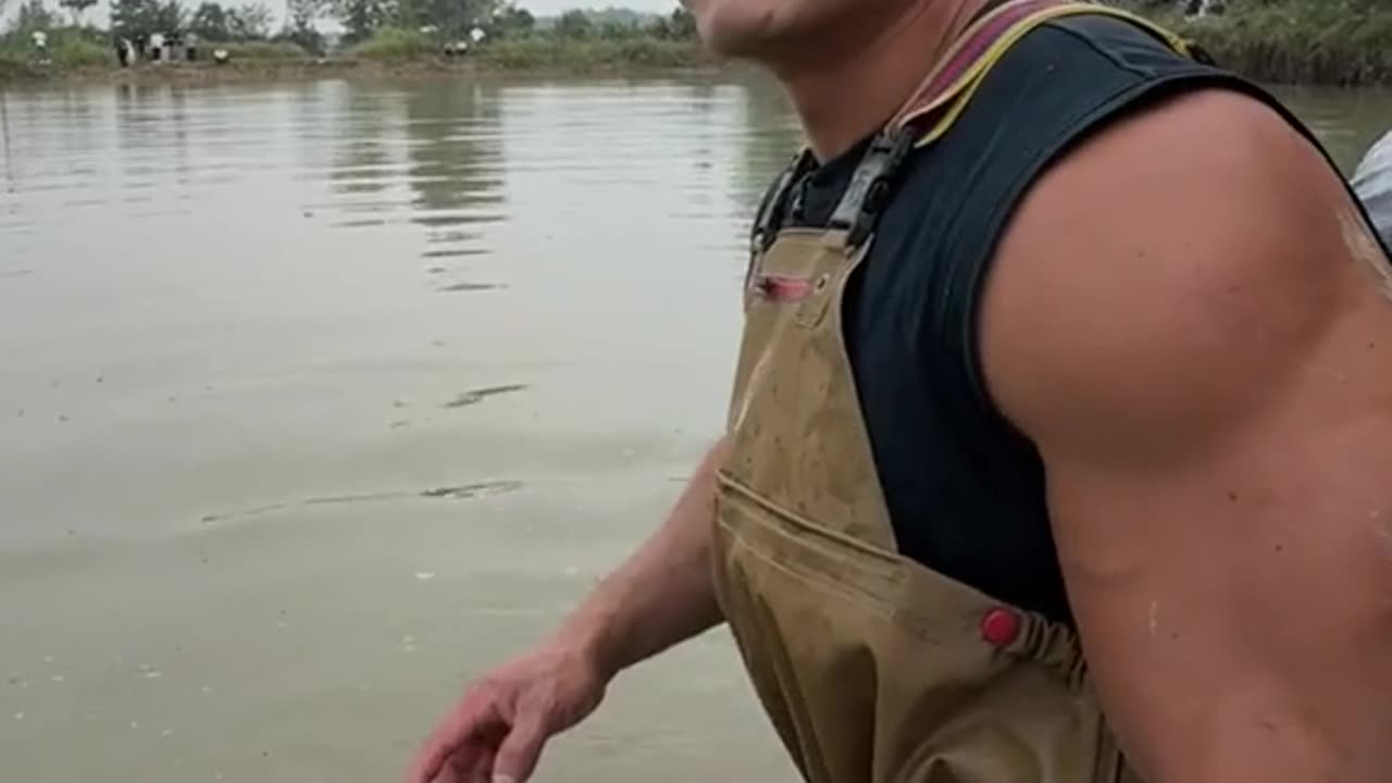 7500元包安徽钓场塘主保底三千斤鱼鱼不够分文不收 #鱼塘 #安徽 #钓场