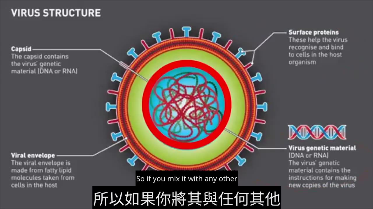 揭露醫學迷思與病毒理論