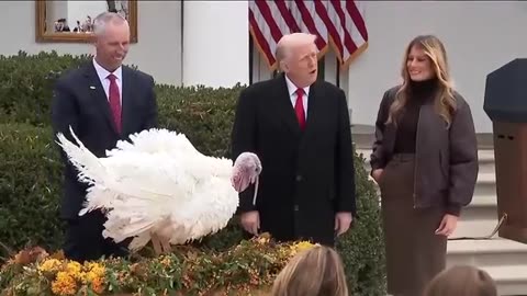 FULL: Trump turns turkey pardoning ceremony into political roast