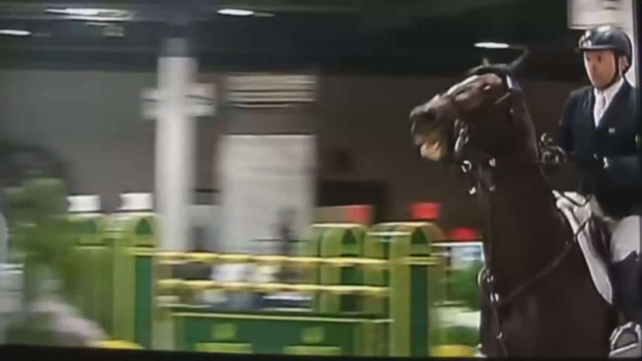 This is a Sad Video. so be careful. R.I.P. Hickstead