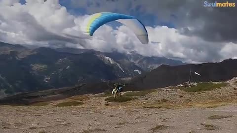 This Dog Goes Paragliding With His Owner And Loves It!