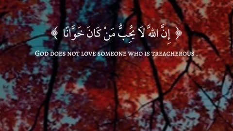 Jaza kallah ♥️✨