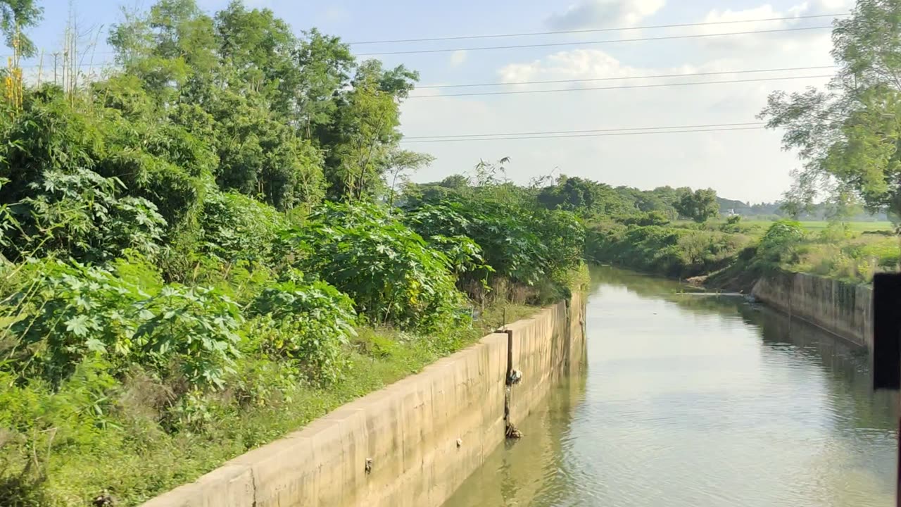 Train view