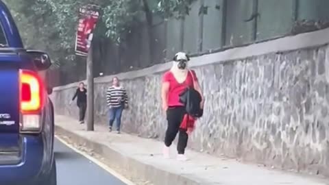 Mujer con 'cabeza de perro' es vista en México