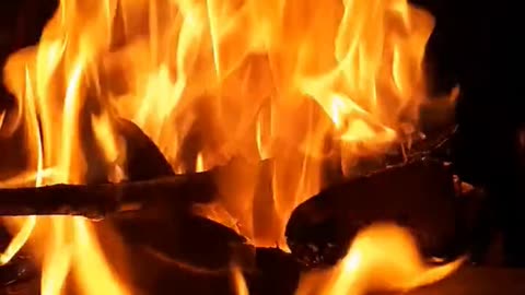 Daily Horoscope | Aries 🌟