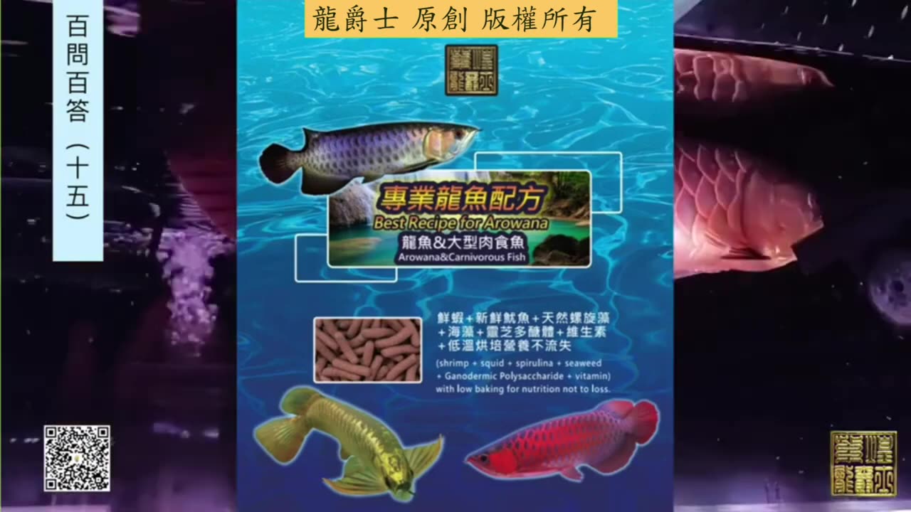 【龍爵士】千問千答 Q167 維他命、蝦紅素、益生菌跟飼料拌一起可以嗎