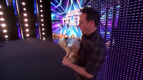 CRAZIEST Animal Acts You'll NEVER See Coming! 😱